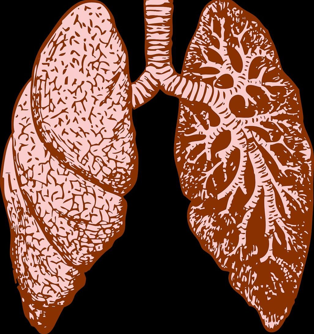 Choroby śródmiąższowe płuc – czym są i jak należy je leczyć?